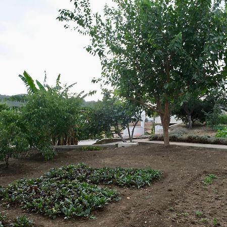 מלון טנג'יר Jnane Yemma מראה חיצוני תמונה